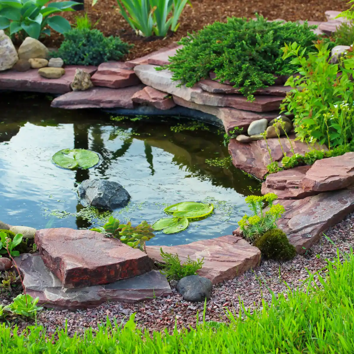 A tranquil backyard pond edged with stacked reddish-brown slate, gravel, and lush green plants. Lily pads float on the clear water surface.
