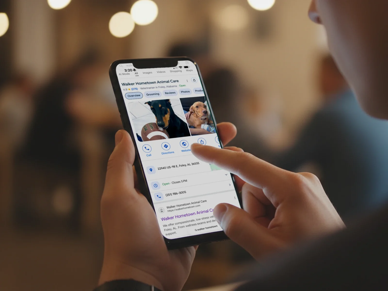 A close-up of a person navigating a business listing on a smartphone, tapping the 'Website' button for Walker Hometown Animal Care.